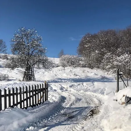 Z Sypialnia Daire Szczawnica